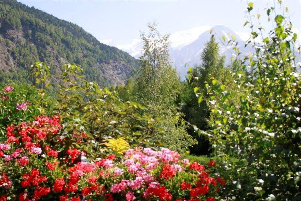 Fontaine Du Mont Blanc Hotel & Spa レ・ズッシュ エクステリア 写真